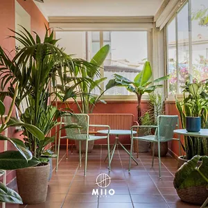 3* Hotel Miio